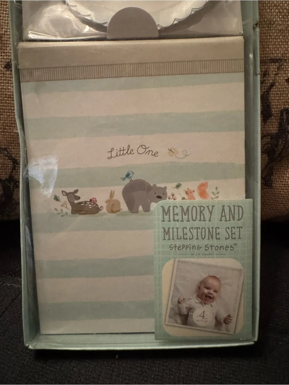 Stepping Stones Little One Memory & Milestone Set Album, 12 Month Stickers